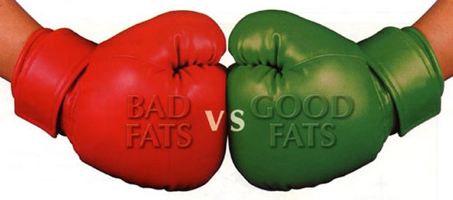 GOOD FATS & BAD FATS