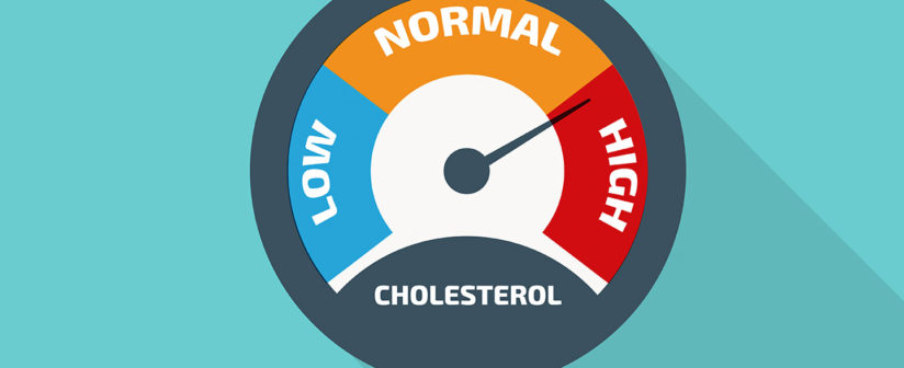 PrivaCare help me! What is the deal with cholesterol?