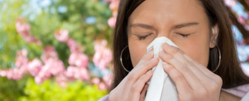 How To Avoid Summer Allergies