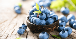 blueberries can help to kill cancer cells